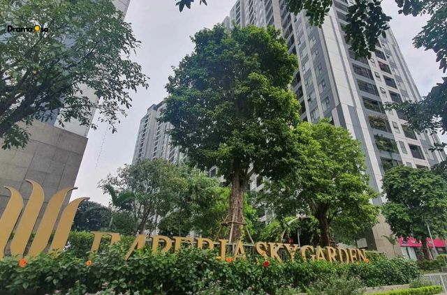 Imperia Sky Garden là một dự án chung cư được quảng bá rầm rộ